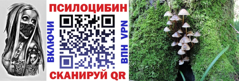 Купить где  Сердобск  Псилоцибиновые грибы мицелий 